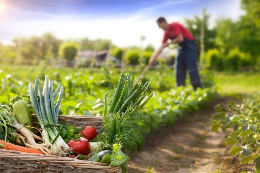 Agricultura