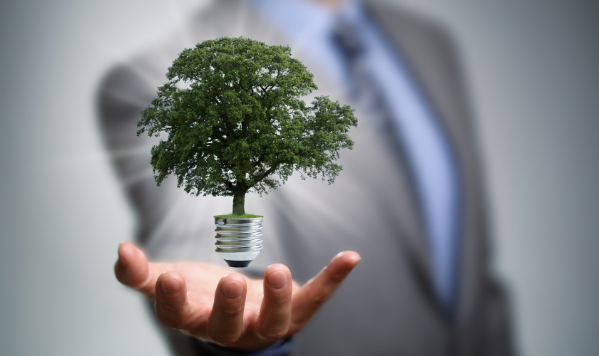 Gestión ambiental