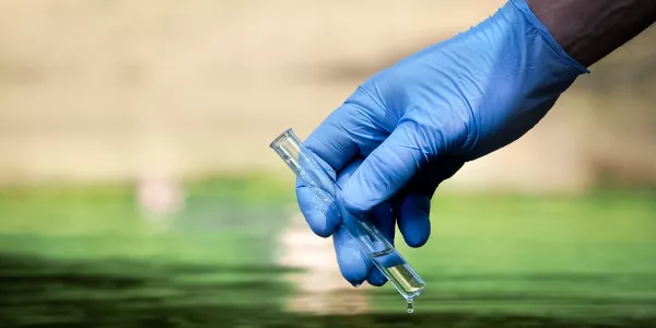Investigación ambiental